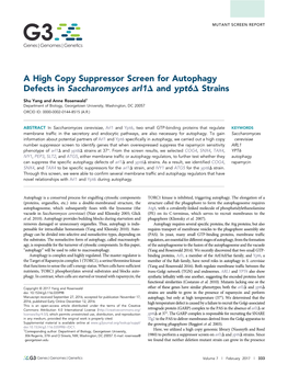 A High Copy Suppressor Screen for Autophagy Defects in Saccharomyces Arl1d and Ypt6d Strains