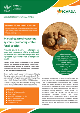 Managing Agrosilvopastoral Systems: Promoting Edible Fungi Species
