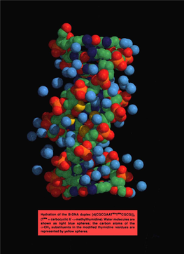 Structural Aspects of Nucleic Acid Analogs and Antisense Oligonucleotides