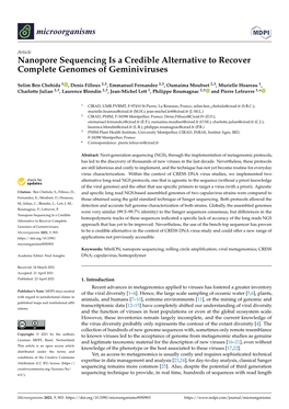 Nanopore Sequencing Is a Credible Alternative to Recover Complete Genomes of Geminiviruses