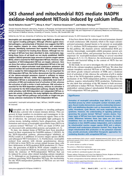 SK3 Channel and Mitochondrial ROS Mediate NADPH Oxidase-Independent Netosis Induced by Calcium Influx