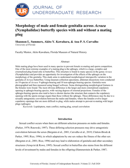 Morphology of Male and Female Genitalia Across Acraea (Nymphalidae) Butterfly Species with and Without a Mating Plug