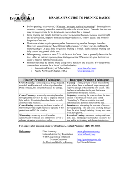 Issaquah's Guide to Pruning Basics