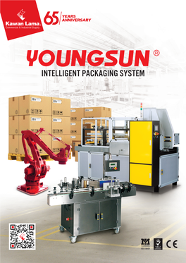 Intelligent Packaging System