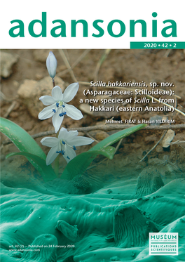 Scilla Hakkariensis, Sp. Nov. (Asparagaceae: Scilloideae): a New Species of Scilla L
