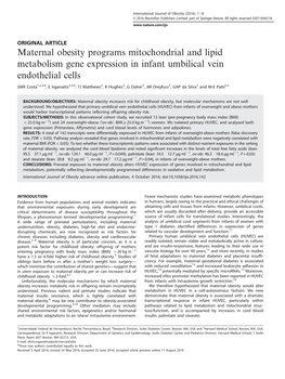 Maternal Obesity Programs Mitochondrial and Lipid Metabolism Gene Expression in Infant Umbilical Vein Endothelial Cells