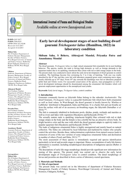 Early Larval Development Stages of Nest Building Dwarf Gourami