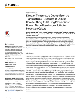 Effect of Temperature Downshift on the Transcriptomic Responses of Chinese Hamster Ovary Cells Using Recombinant Human Tissue Plasminogen Activator Production Culture