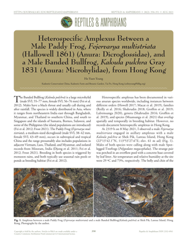 Cfreptiles & Amphibians