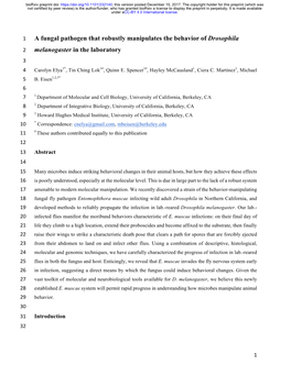A Fungal Pathogen That Robustly Manipulates the Behavior of Drosophila