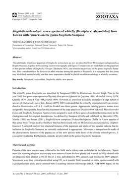 Zootaxa: Singhiella Melanolepis, a New Species Of