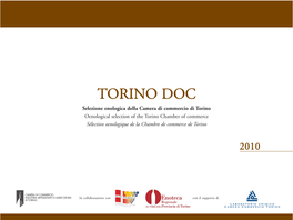 Torino DOC 2010