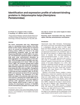 Binding Proteins in Halyomorpha Halys (Hemiptera: Pentatomidae)