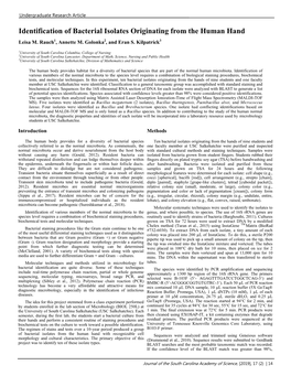 Identification of Bacterial Isolates Originating from the Human Hand Leisa M