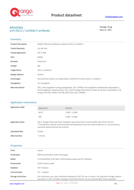 Anti-IGLL1 / Lambda 5 Antibody (ARG42961)