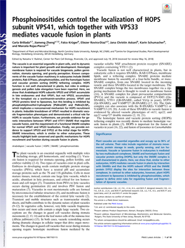 Phosphoinositides Control the Localization of HOPS Subunit VPS41, Which Together with VPS33 Mediates Vacuole Fusion in Plants