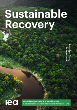 Sustainable Recovery