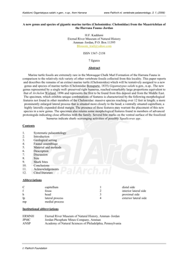 (Chelonioidea: Cheloniidae) from the Maastrichtian of the Harrana Fauna–Jordan