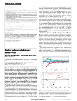 Proteorhodopsin Phototrophy in the Ocean