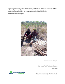 Exploring Feasible Yields for Cassava Production for Food and Fuel in the Context of Smallholder Farming Systems in Alto Molócuè, Northern Mozambique