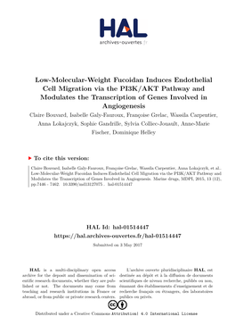 Low-Molecular-Weight Fucoidan Induces Endothelial Cell Migration