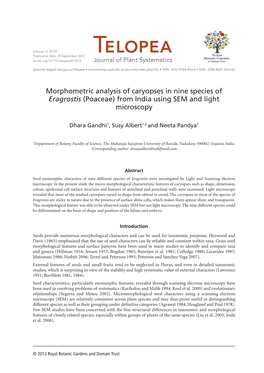 Eragrostis (Poaceae) from India Using SEM and Light Microscopy