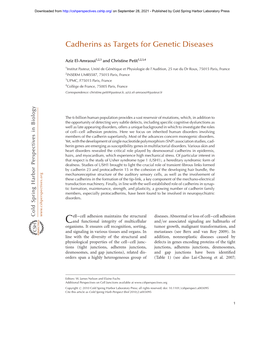 Cadherins As Targets for Genetic Diseases