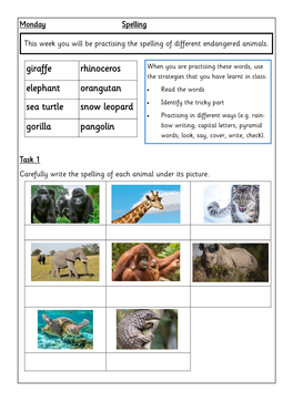 Giraffe Rhinoceros Elephant Orangutan Sea Turtle Snow Leopard Gorilla