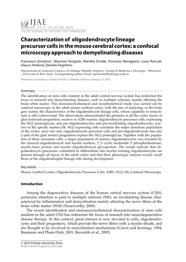 Characterization of Oligodendrocyte Lineage Precursor Cells in the Mouse Cerebral Cortex: a Confocal Microscopy Approach to Demyelinating Diseases