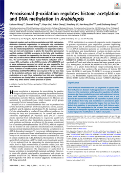 Peroxisomal Β-Oxidation Regulates Histone Acetylation and DNA Methylation in Arabidopsis