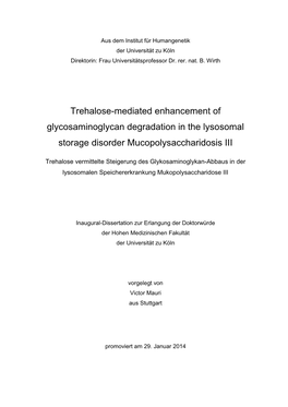 Trehalose-Mediated Enhancement of Glycosaminoglycan Degradation in the Lysosomal Storage Disorder Mucopolysaccharidosis III