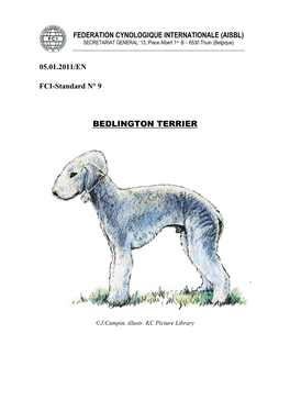 Bedlington Terrier