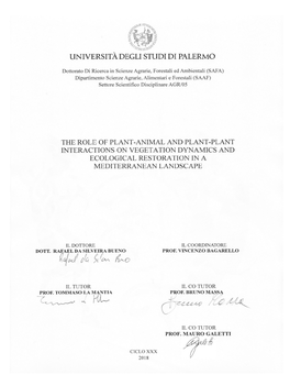 Phd Thesis Rsbueno.Pdf