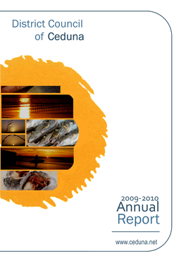 Annual Report