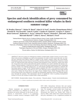 Species and Stock Identification of Prey Consumed by Endangered Southern Resident Killer Whales in Their Summer Range