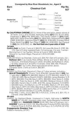 Chestnut Colt Barn 19 Hip No