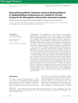 Slow Photosynthetic Induction and Low Photosynthesis in Paphiopedilum