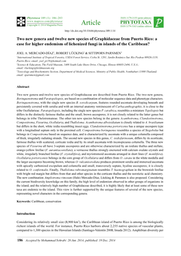 Two New Genera and Twelve New Species of Graphidaceae from Puerto Rico: a Case for Higher Endemism of Lichenized Fungi in Islands of the Caribbean?