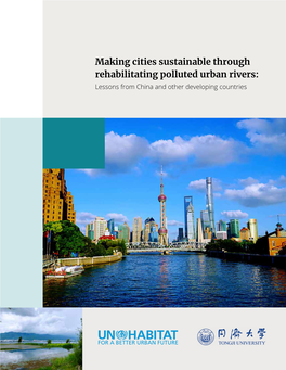 Making Cities Sustainable Through Rehabilitating Polluted Urban Rivers: Lessons from China and Other Developing Countries