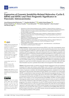 Cyclin F, RRM2 and SPDL1 and Their Prognostic Significance In