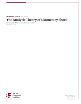 The Analytic Theory of a Monetary Shock Fernando E