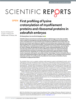 First Profiling of Lysine Crotonylation of Myofilament Proteins and Ribosomal