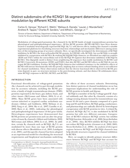 Distinct Subdomains of the KCNQ1 S6 Segment Determine Channel Modulation by Different KCNE Subunits