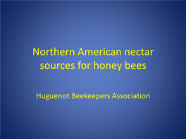 Northern American Nectar Sources for Honey Bees