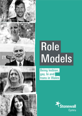 Role Models, English E-Use