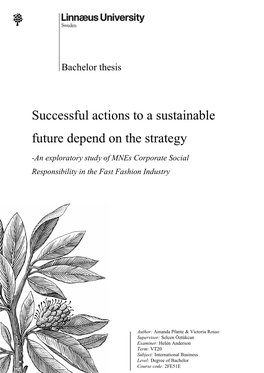 Successful Actions to a Sustainable Future Depend on the Strategy