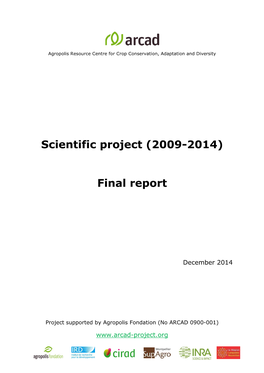 Final Report