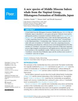 A New Species of Middle Miocene Baleen Whale from the Nupinai Group, Hikatagawa Formation of Hokkaido, Japan