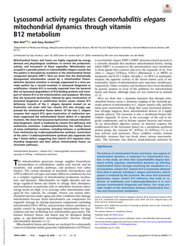 Lysosomal Activity Regulates Caenorhabditis Elegans Mitochondrial Dynamics Through Vitamin B12 Metabolism
