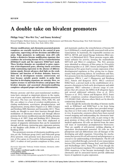 A Double Take on Bivalent Promoters